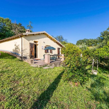 Holiday Home Grilli By Interhome Scansano Dış mekan fotoğraf