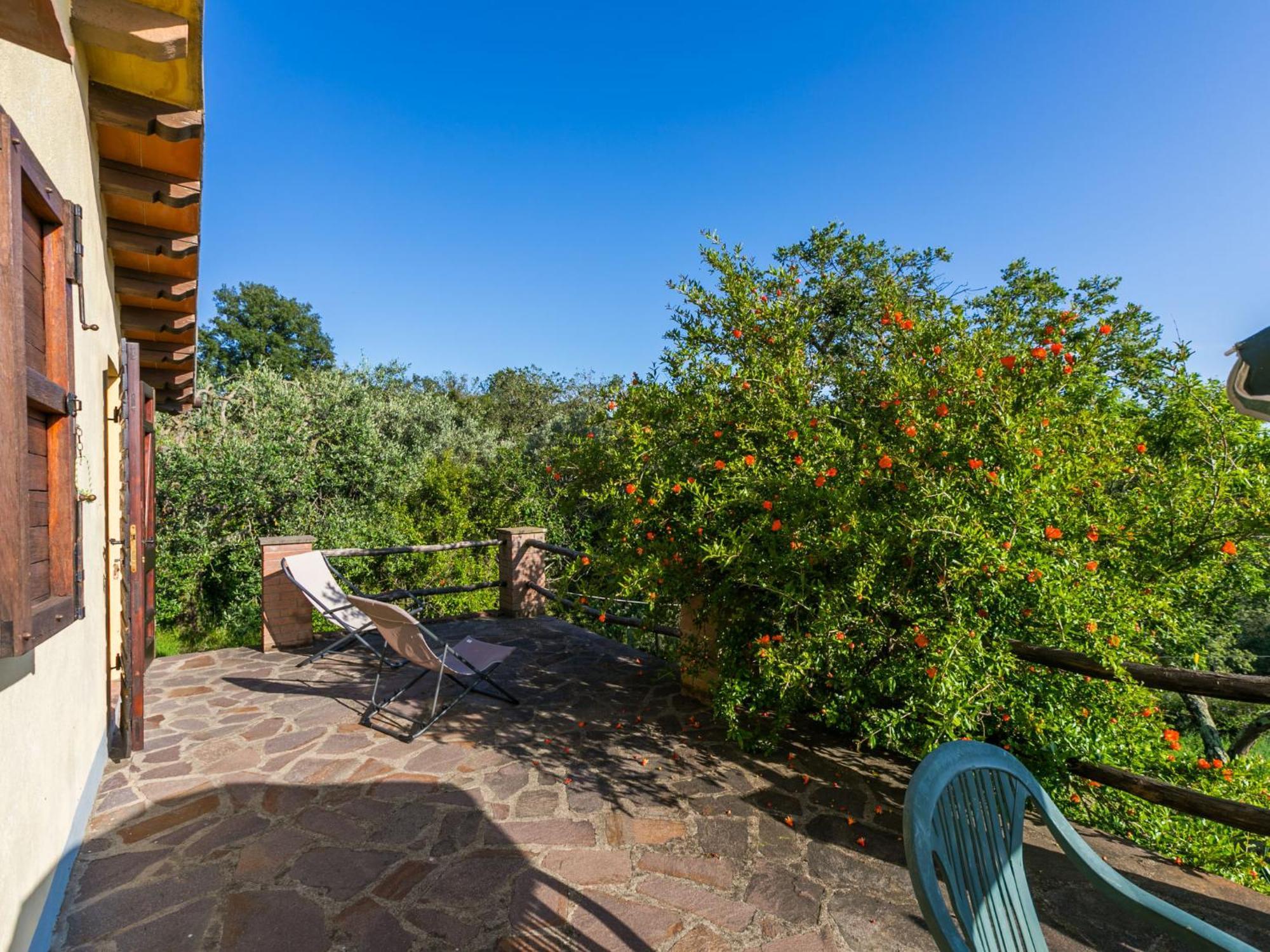 Holiday Home Grilli By Interhome Scansano Dış mekan fotoğraf